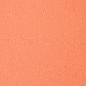 Tejido de punto absorbente - Flor del desierto (se vende por yarda)
