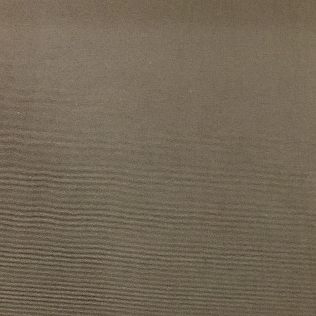 70 Denier Taslan with DWR - Coyote (Sold per Yard)