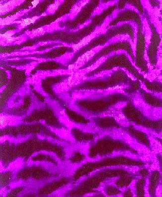 Dye sublimation service for Animal Print Library(Sold by the Yard)