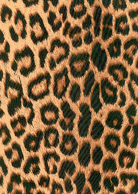 Dye sublimation service for Animal Print Library(Sold by the Yard)