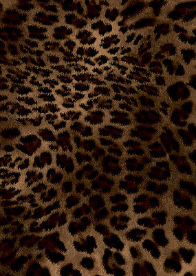 Dye sublimation service for Animal Print Library(Sold by the Yard)