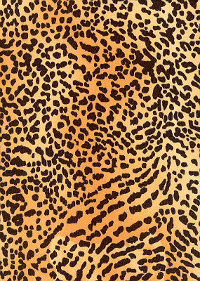 Dye sublimation service for Animal Print Library(Sold by the Yard)