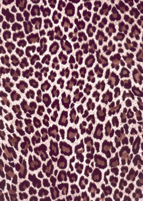 Dye sublimation service for Animal Print Library(Sold by the Yard)