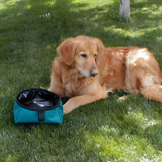 Rocky Dog Bowl Pattern - Digital Download