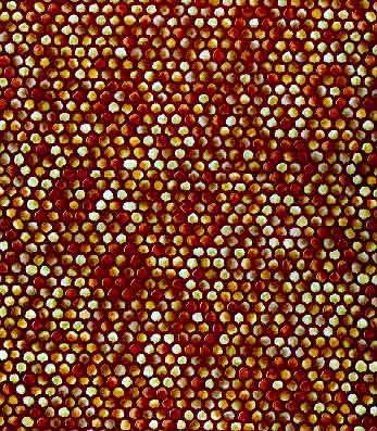 Servicio de sublimación de tintes para la biblioteca de impresión Hot Dots (se vende cortado a medida)