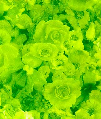 Flowers Print Library 昇華昇華サービス(ヤード販売)