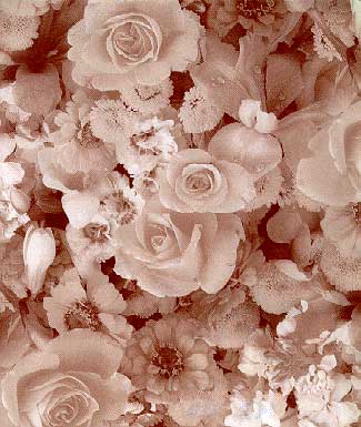 Flowers Print Library 昇華昇華サービス(ヤード販売)