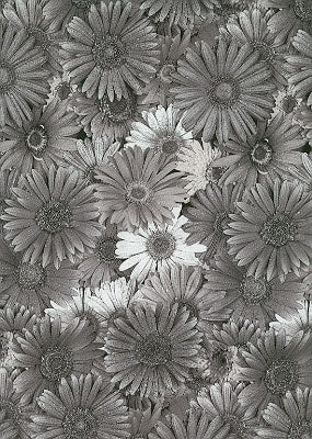 Flowers Print Library 昇華昇華サービス(ヤード販売)