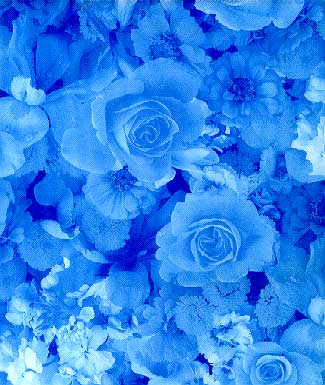 Flowers Print Library 昇華昇華サービス(ヤード販売)
