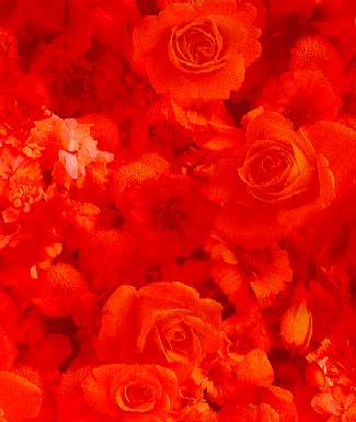 Flowers Print Library 昇華昇華サービス(ヤード販売)