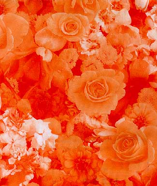 Flowers Print Library 昇華昇華サービス(ヤード販売)