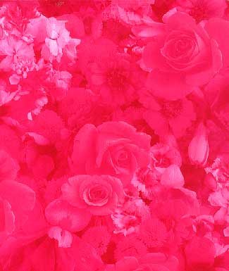 Flowers Print Library 昇華昇華サービス(ヤード販売)