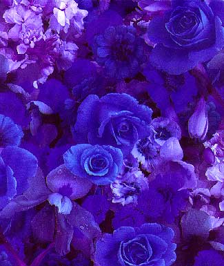 Flowers Print Library 昇華昇華サービス(ヤード販売)