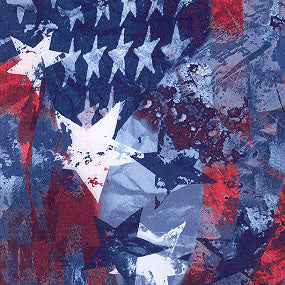 600 Denier urethane coated Polyester Printed Fabric - Star Spangled (Sold per Yard)